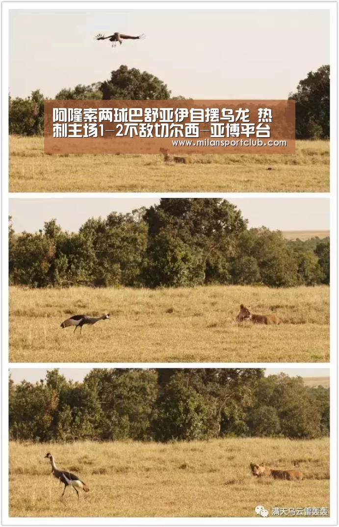 阿隆索两球巴舒亚伊自摆乌龙 热刺主场1-2不敌切尔西-亚博平台(图4) 亚博平台