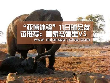 “亚博体验”11日球会友谊推荐:皇家马德里VSAC米兰(图2) 亚博入口