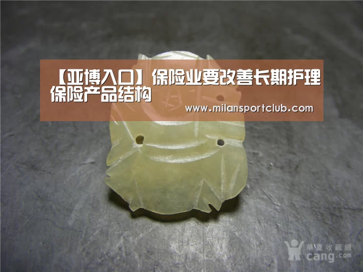 【亚博入口】保险业要改善长期护理保险产品结构(图1) 亚博官网