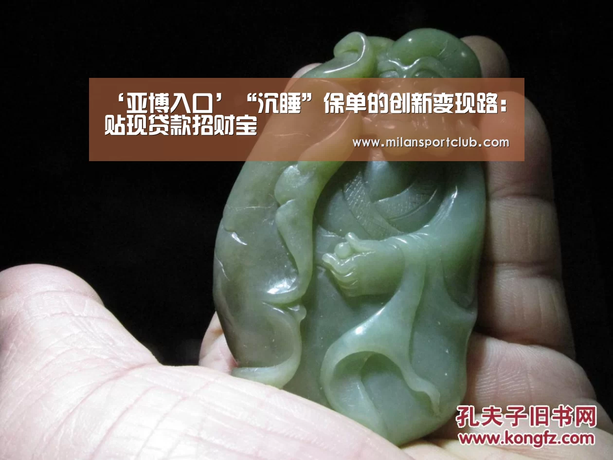 ‘亚博入口’“沉睡”保单的创新变现路:贴现贷款招财宝(图1) 亚博体验