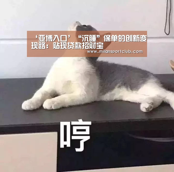 ‘亚博入口’“沉睡”保单的创新变现路:贴现贷款招财宝(图3) 亚博平台