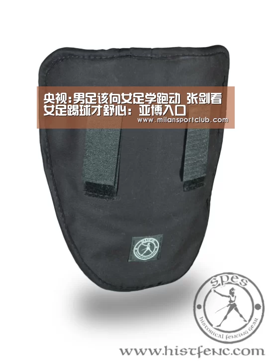 央视:男足该向女足学跑动 张剑看女足踢球才舒心:亚博入口(图3) 亚博入口