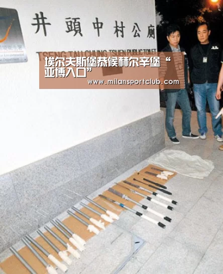 埃尔夫斯堡恭候赫尔辛堡“亚博入口”(图2) 亚博平台